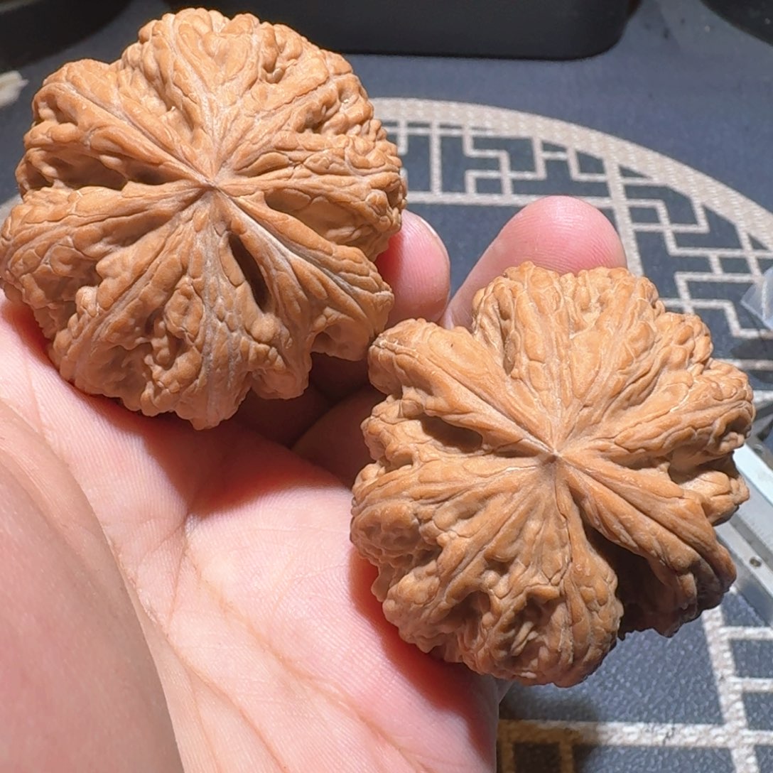 文玩核桃吊坠持**恒粗筋