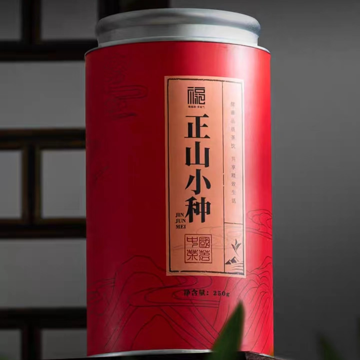 【品质好茶】 武记 正山小种 2023年精致正宗优选红茶蜜香250g