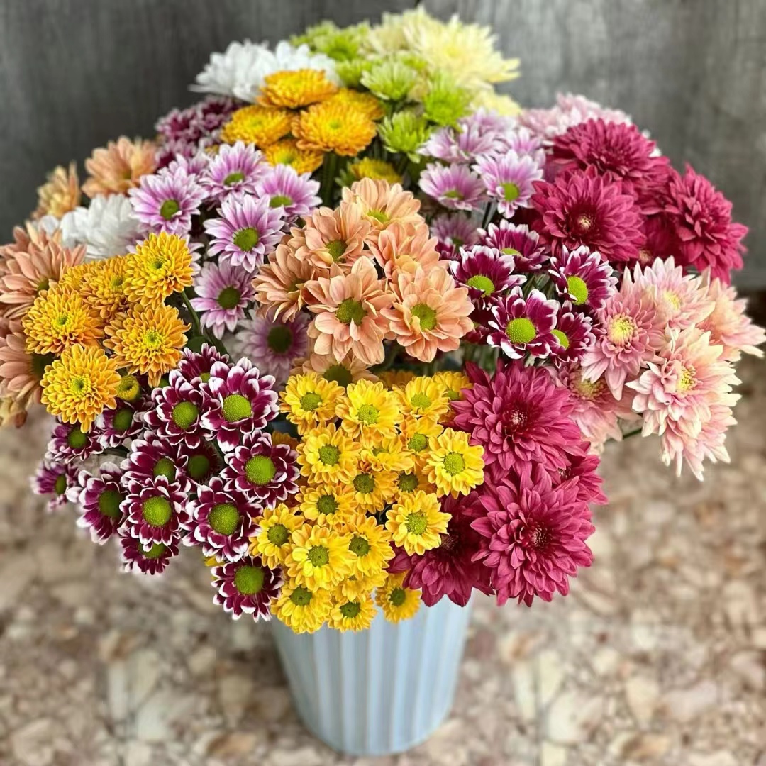 【源头优选】小菊-任意2单鲜花包邮 发货后不支持退款