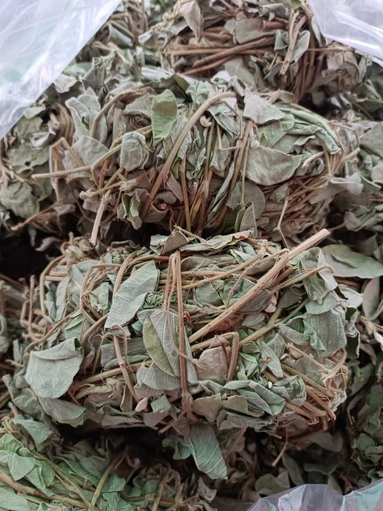 粤北山农特产 阳山货 金钱草250-500克
