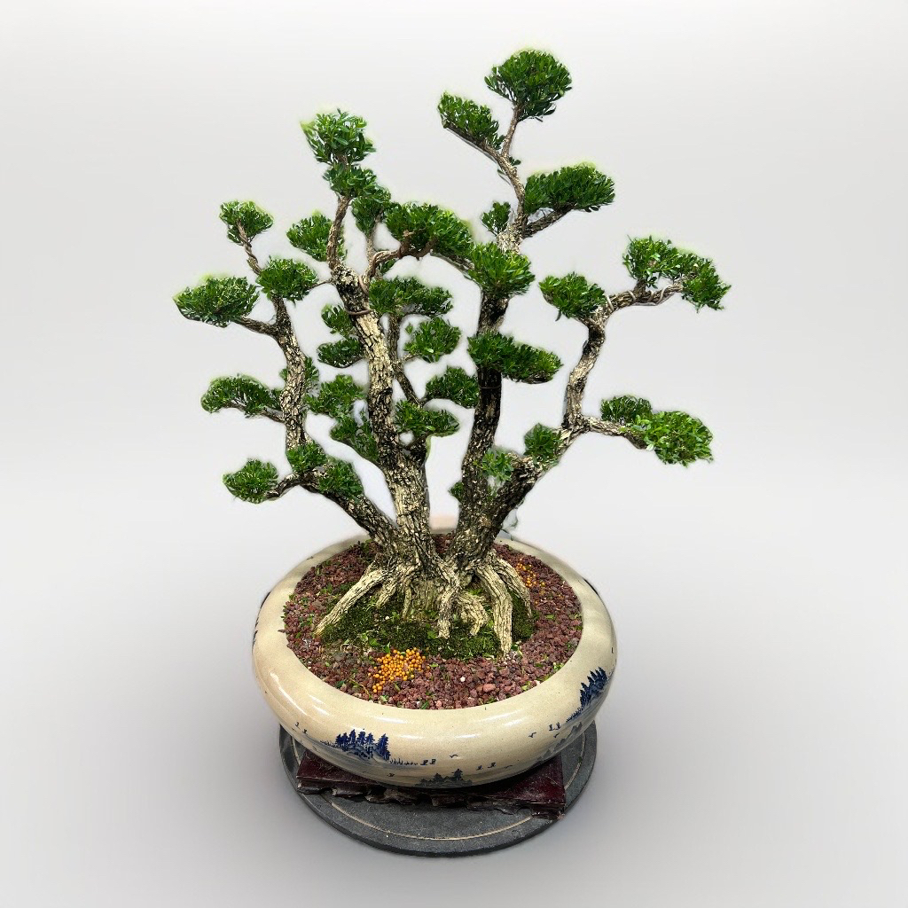 五子登科黄杨盆景岭南剪枝骨架截干蓄枝老桩盆栽四季常青绿植