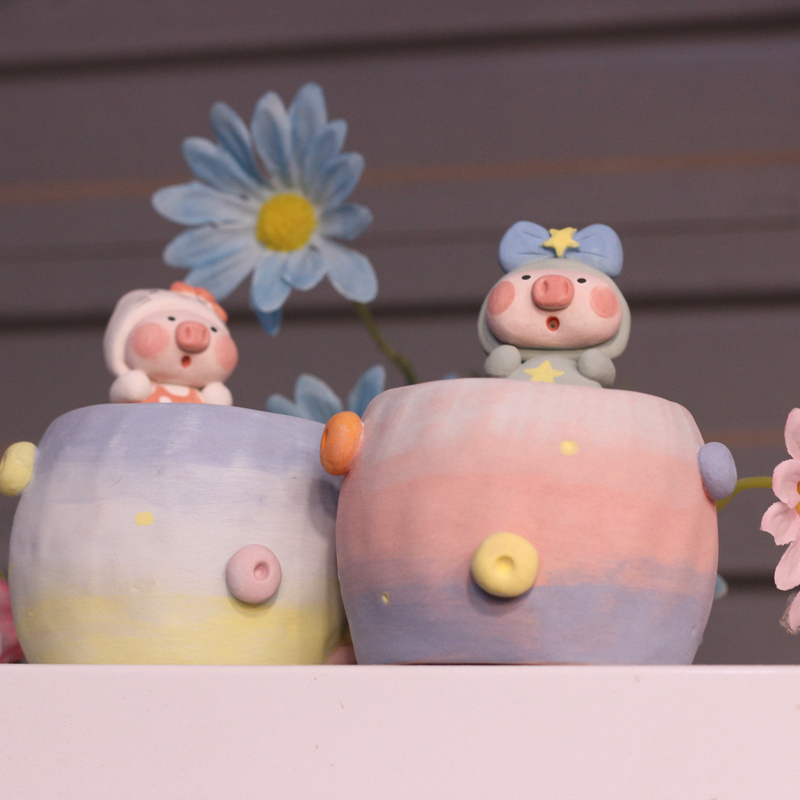 可爱立体星球猪多肉花盆韩国风吸水透气控型肉锥风铃麦秆生石花