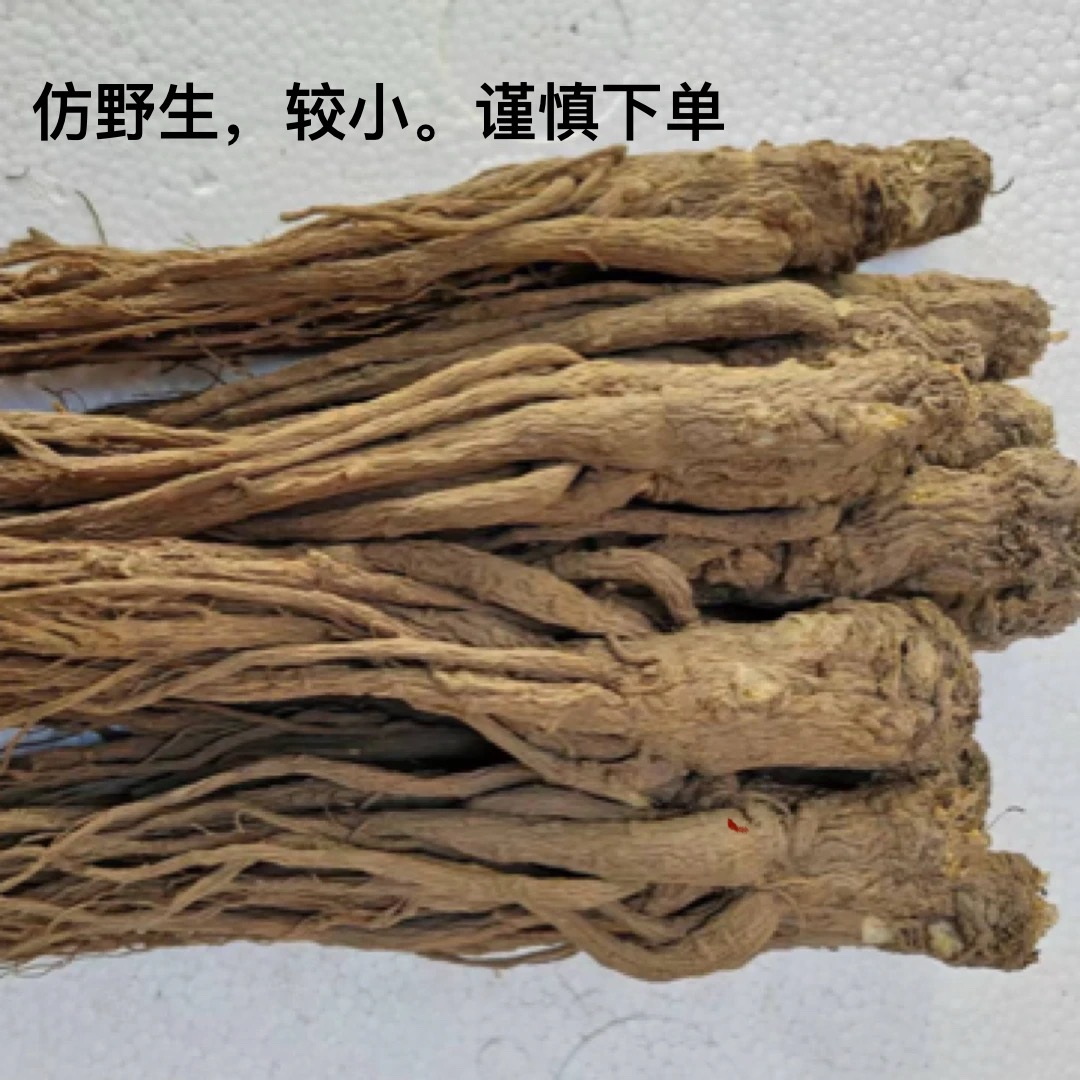 药农铁牛仿野生当归滋补煲汤岷县麻子川牧场沟