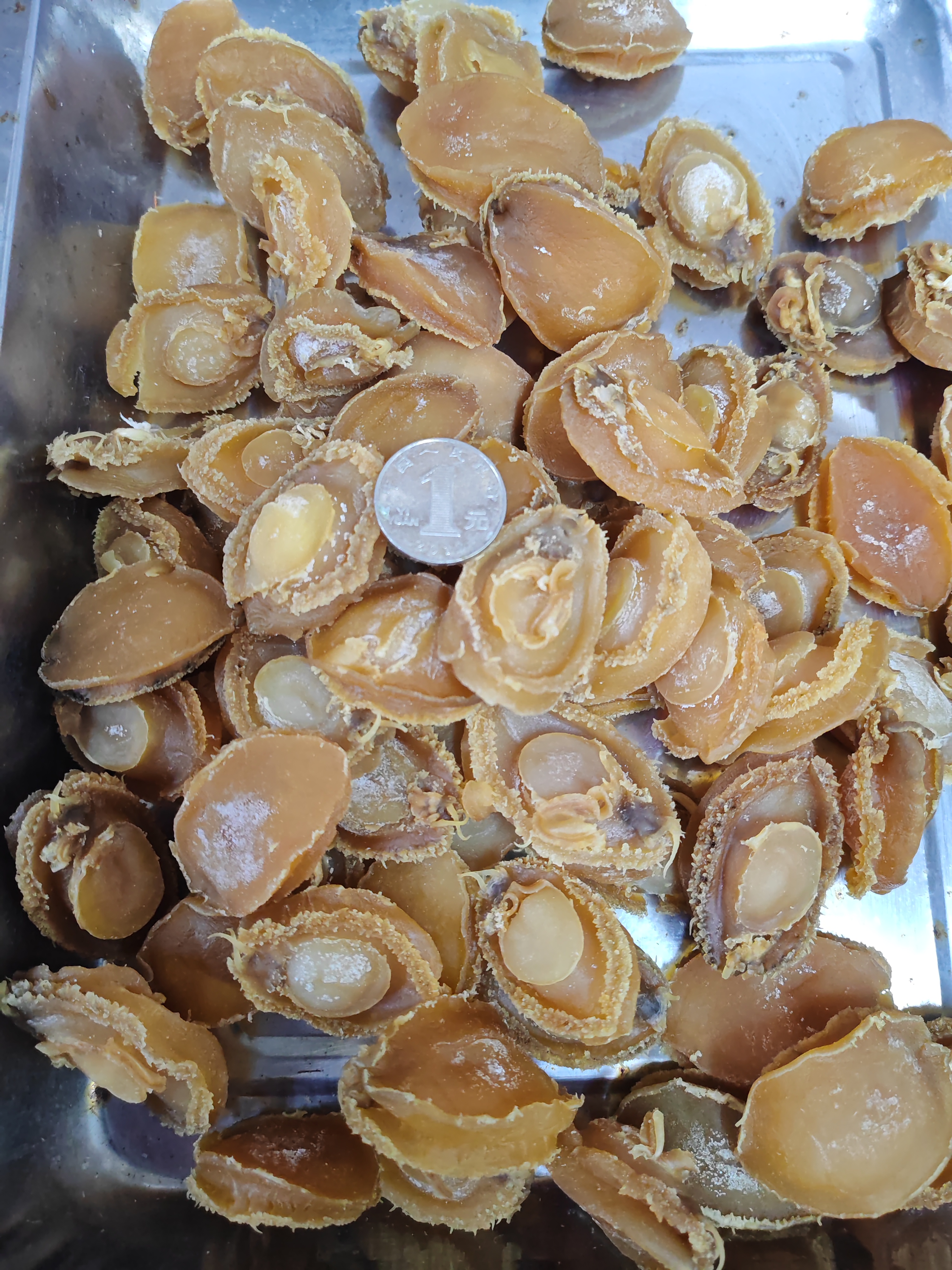 汕尾本港 鲍鱼干50头左右 煮粥煲汤