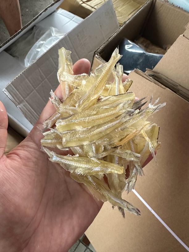 干鱼脯（小鱼干）炒芹菜 炒菜！