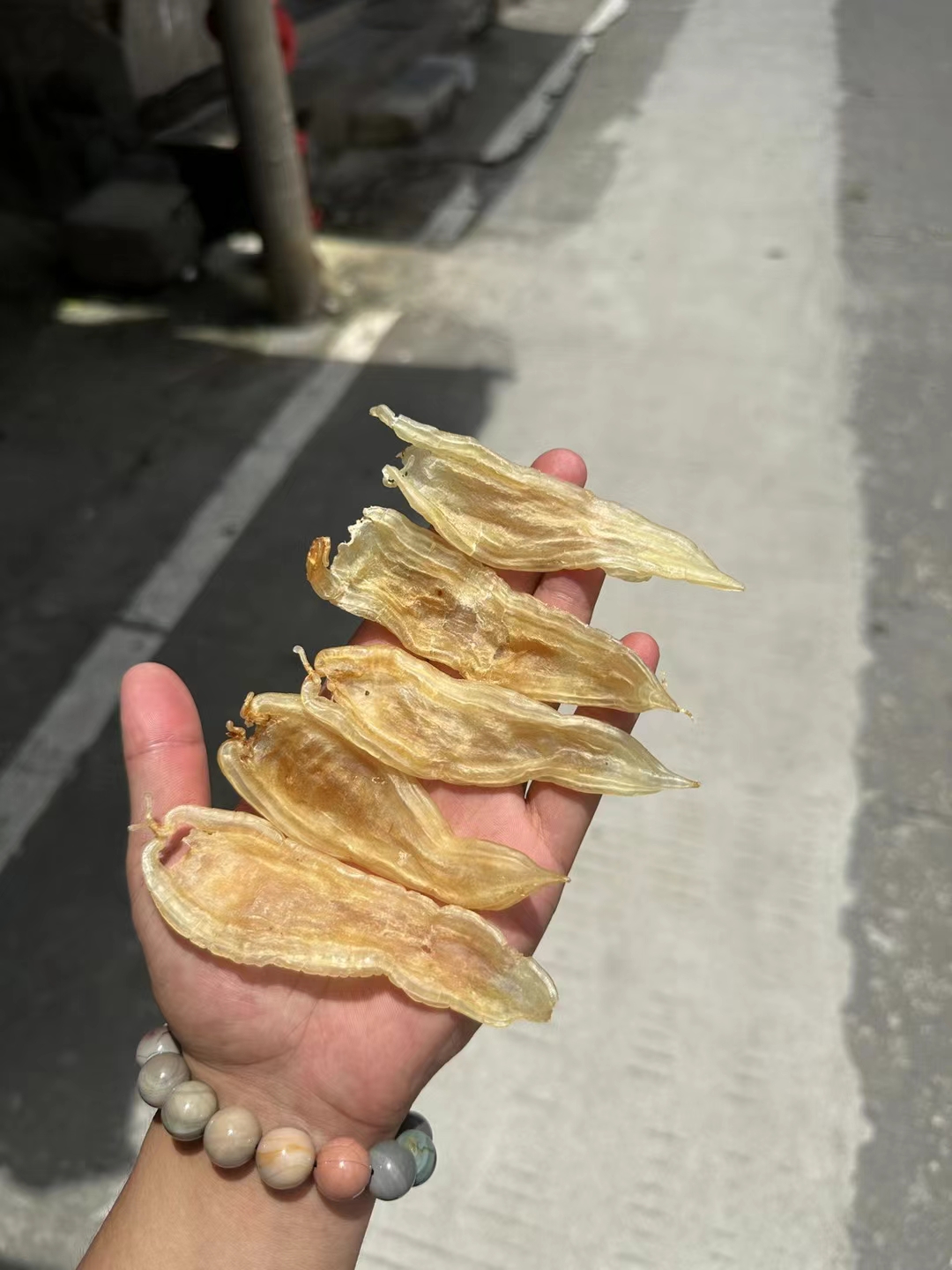 汕尾 野生双背鱼胶厚肉 日常细腻煲汤美味花胶品质
