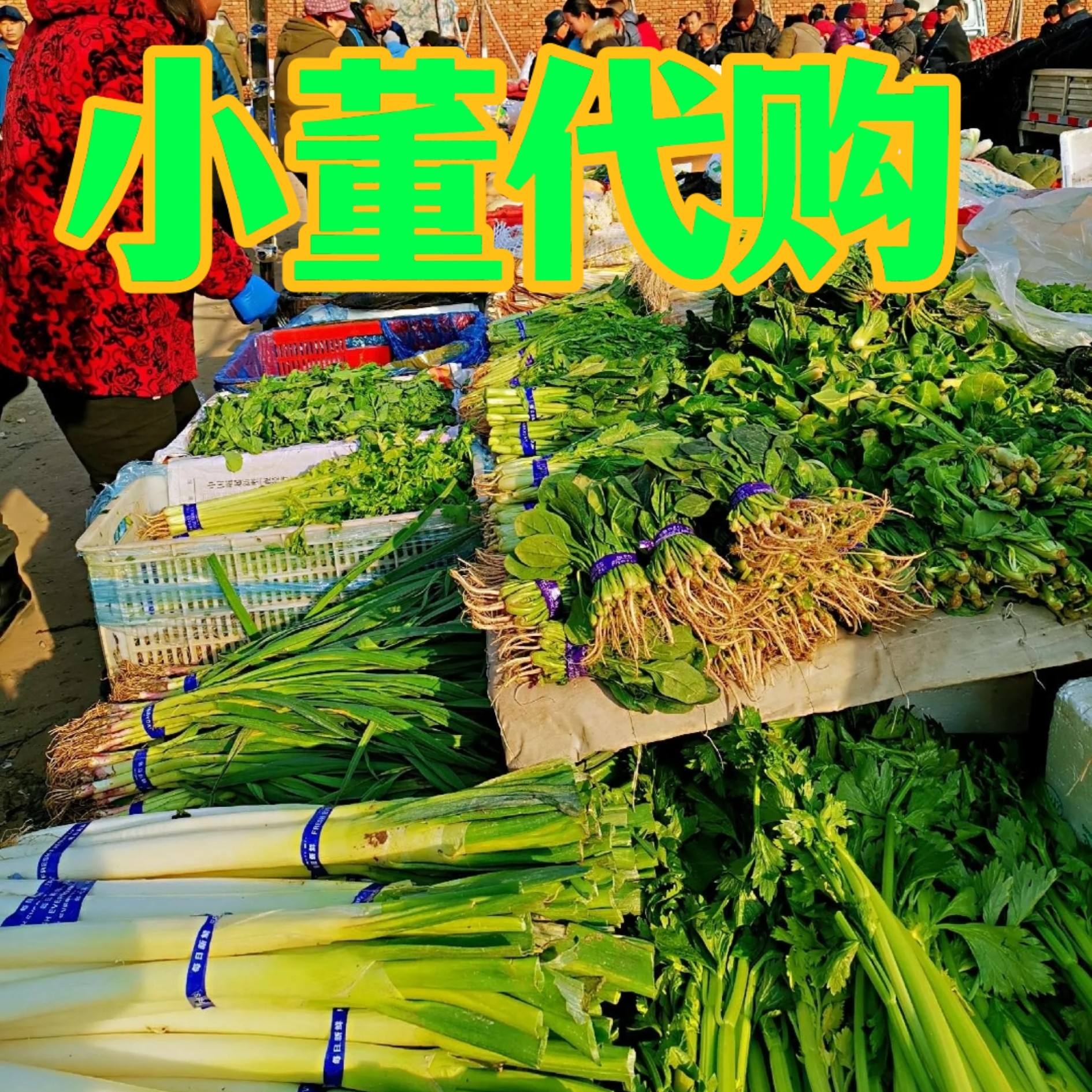 蔬菜米面杂粮农副产品代购