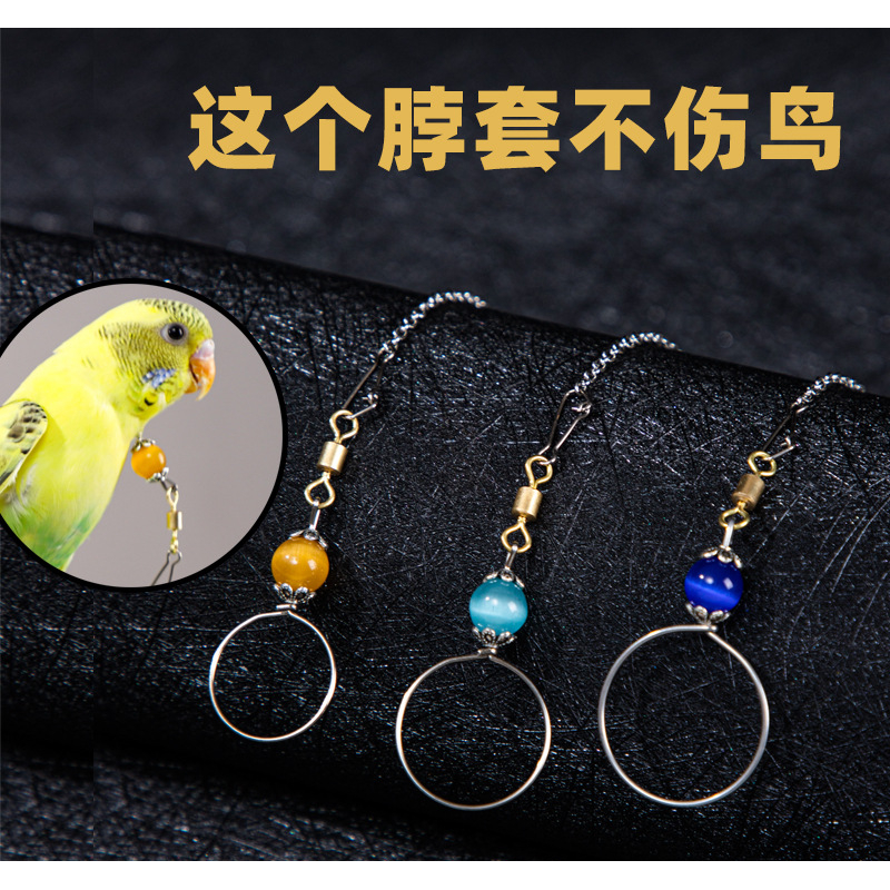 牡丹玄凤鹦鹉脖圈不锈钢鸟链子训鸟用具用品活扣八哥鸟用金属脖套