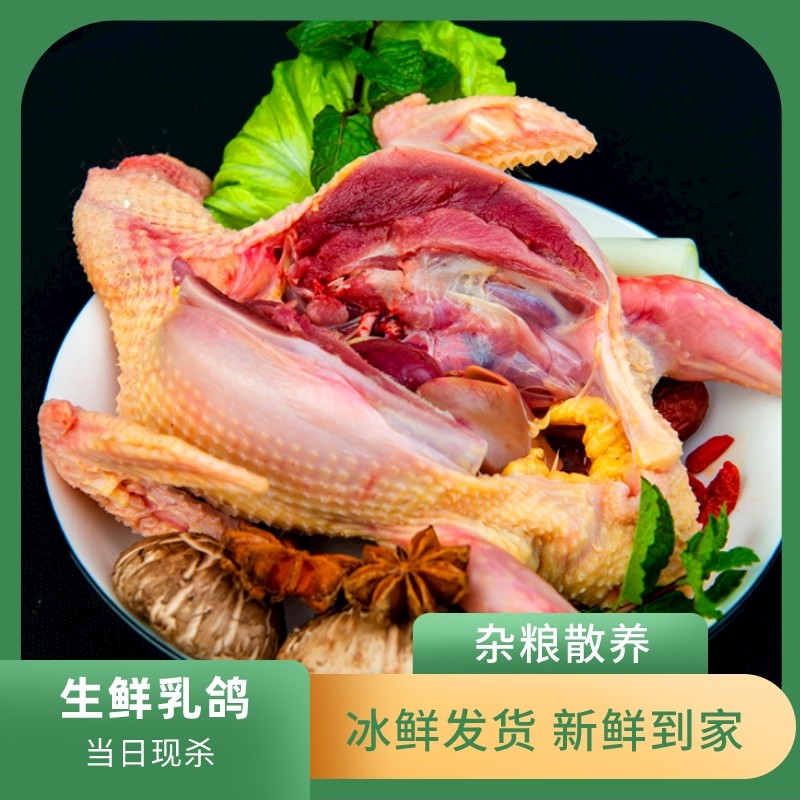 【坏单包赔】河南农家杂粮喂养新鲜营养鲜嫩食用嫩乳鸽子新鲜冷冻