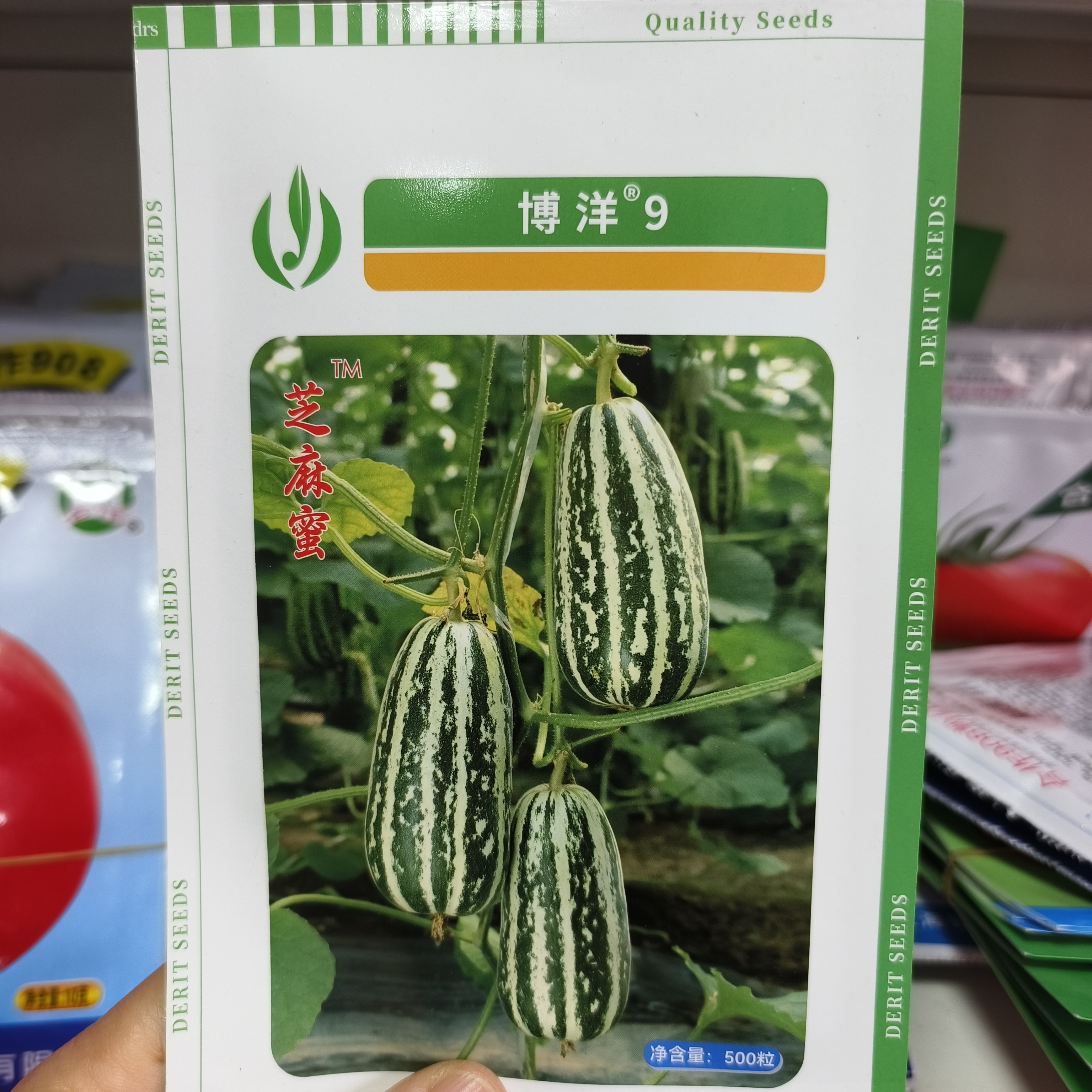 天津德瑞特博洋9号甜瓜种子系列神奥梦中情瓜种子购买