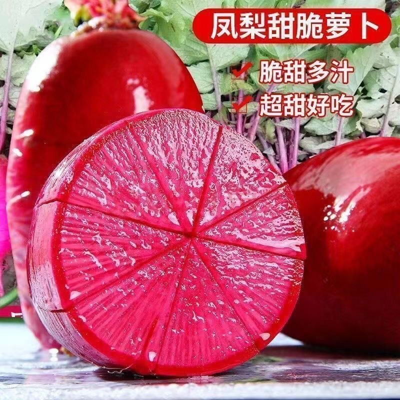 重庆红皮红心红肉萝卜种子种籽四川泡菜胭脂萝卜籽秋季蔬菜籽种孑