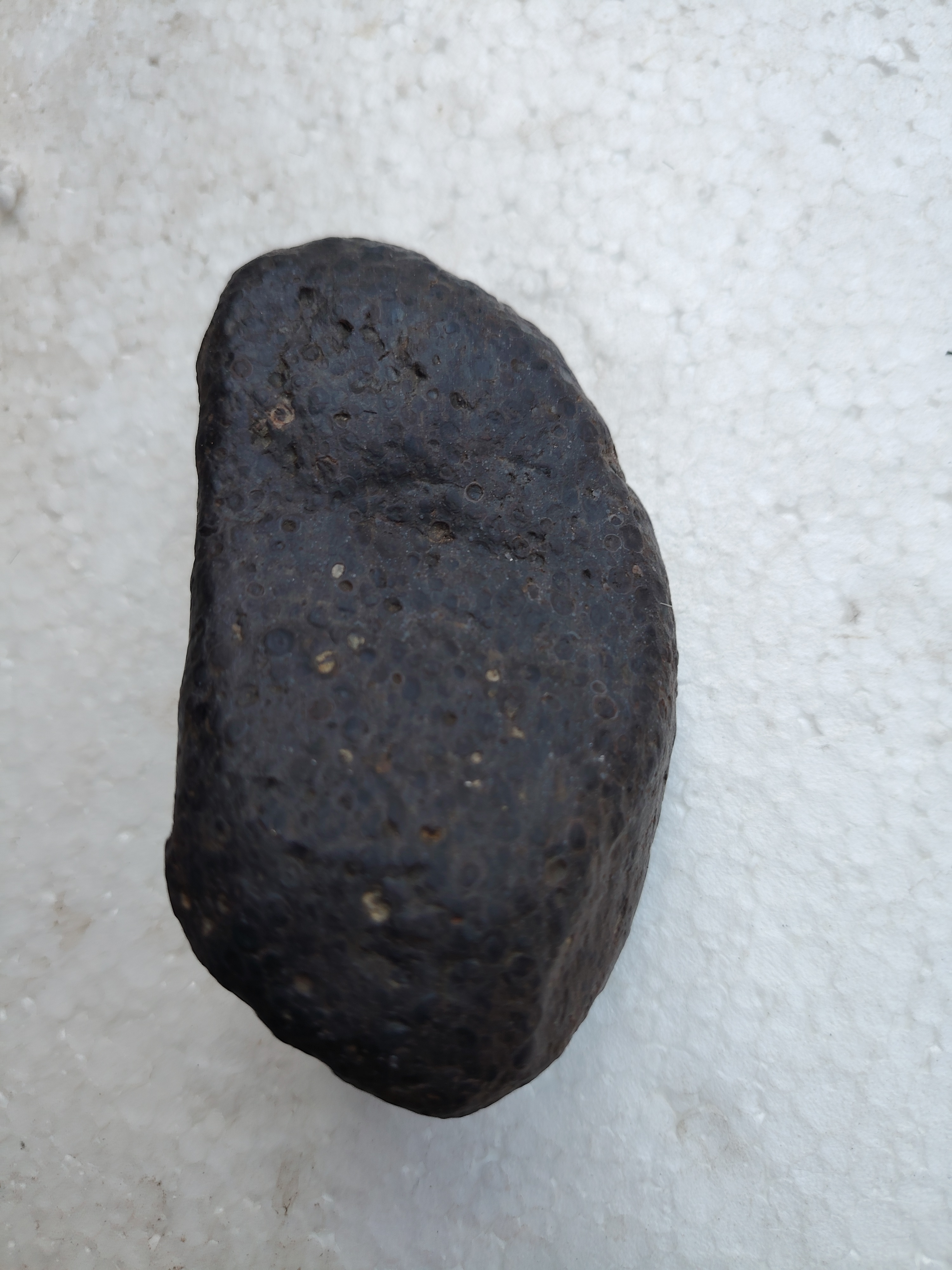 碳质贵金属球立地表料，完整定向标本。