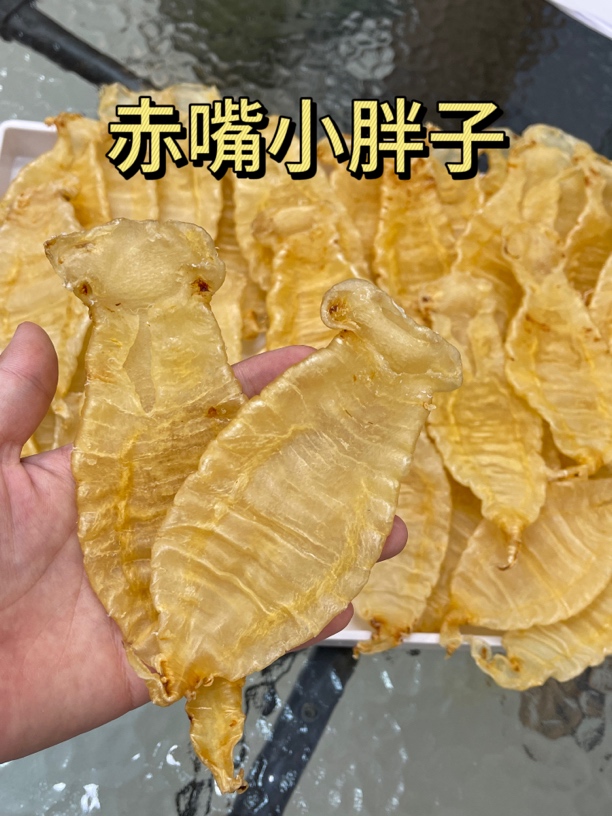 【玖中庭】18头本港赤嘴公