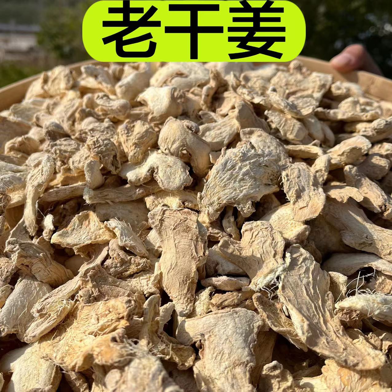 【干姜片】精选老姜 子母姜切片 老干姜甘草干姜汤 250克