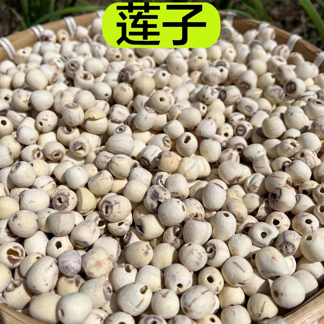 【抽芯莲子】正宗抽芯莲子干货 250克包邮农产品