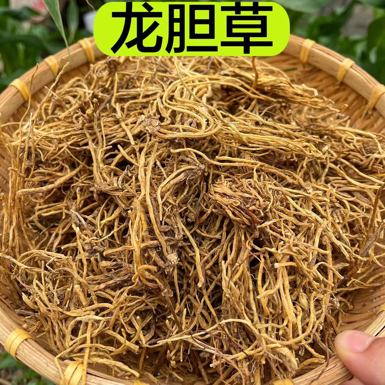 【龙胆草】云南道地产区 精选龙胆草 整根100克