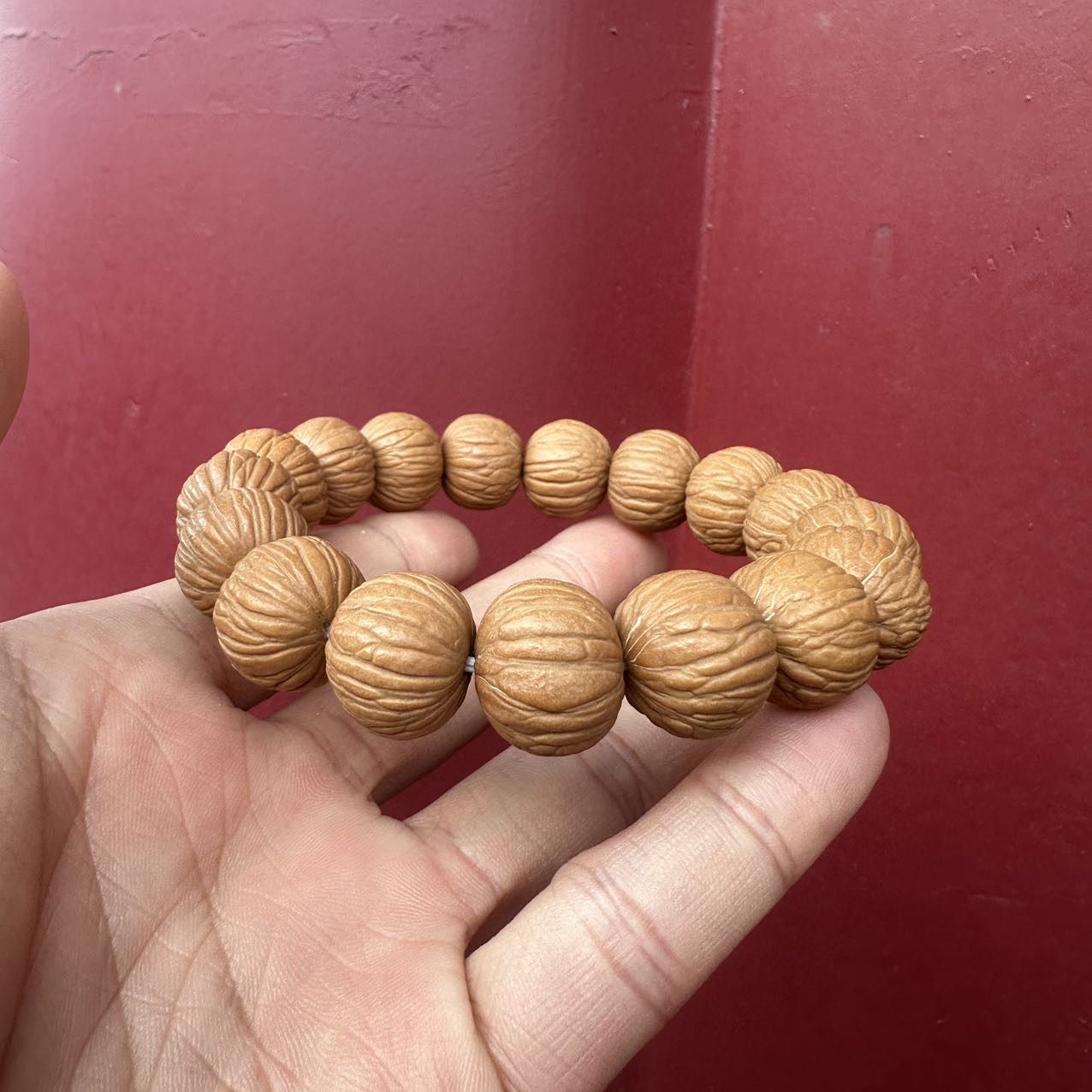 【阿钰推荐】LY59225-猴头原皮土豪单圈手串-尺寸15-16mm