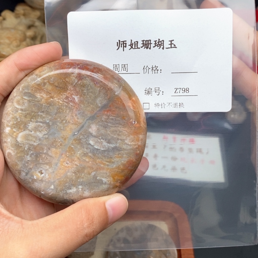 【闪购商品】硅化珊瑚（珊瑚玉）颈饰未镶嵌花**下