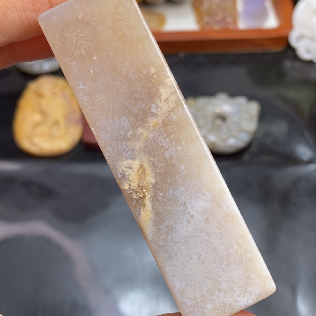 硅化珊瑚（珊瑚玉）吊坠(赠链)未镶嵌