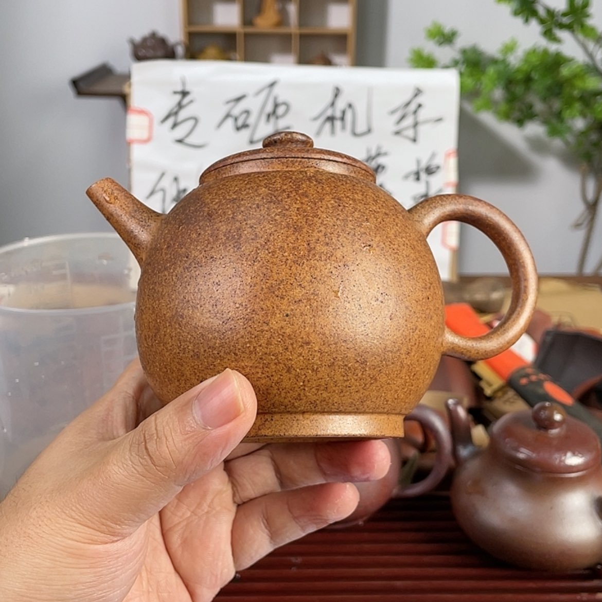 【闪购商品】紫砂茶壶