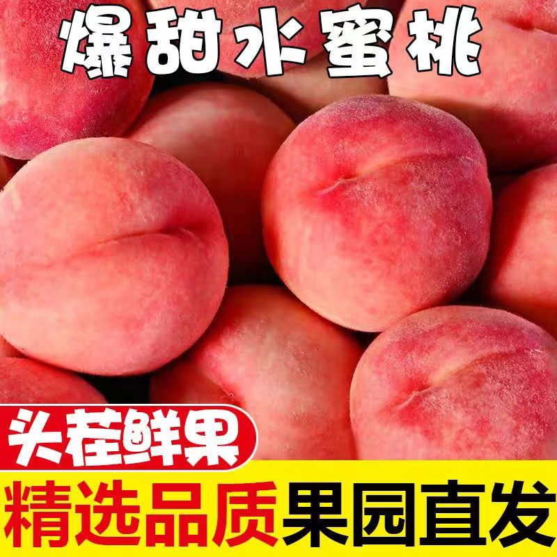 山西运城带箱3/5斤水蜜桃单果130g+现摘现发新鲜水蜜桃软脆两吃