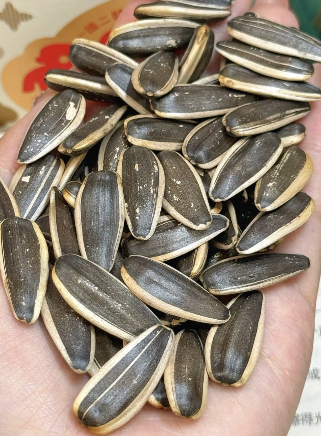 原味瓜子大颗粒/500g