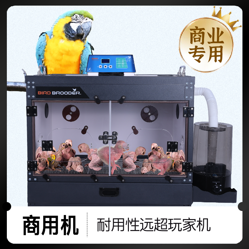 AODL黑尖保温箱鹦鹉幼鸟专业恒温箱多功能自动控温控湿养殖场首选