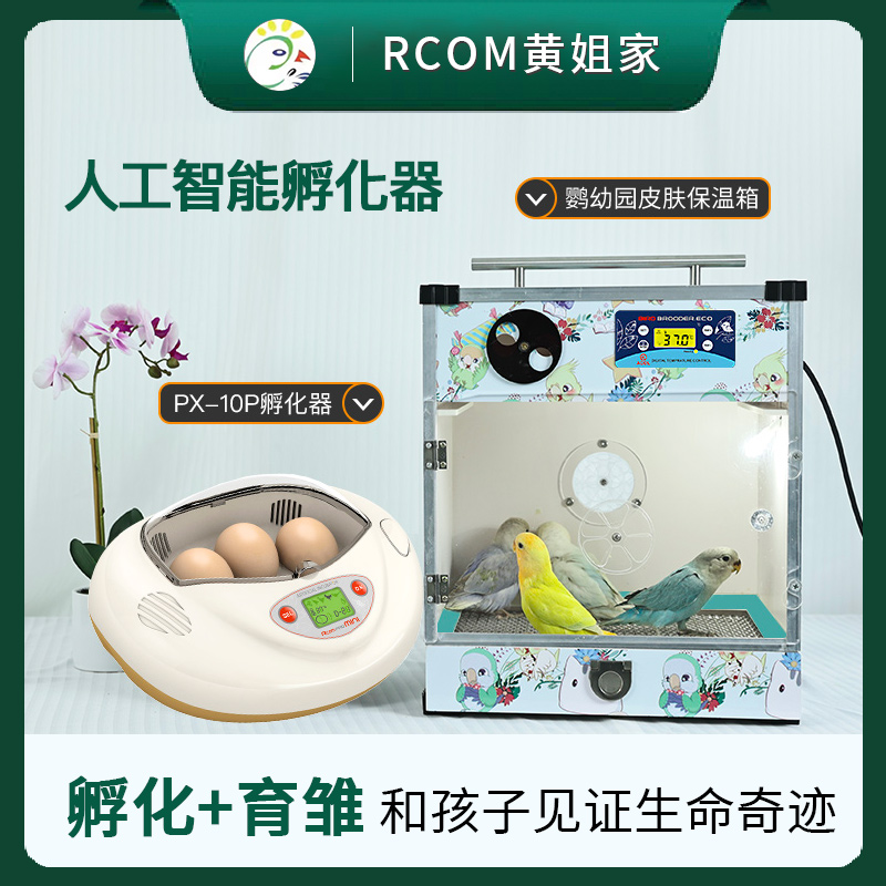 RCOM孵蛋器进口全自动高精度孵化器育雏箱家用小型实验孵化鹦鹉