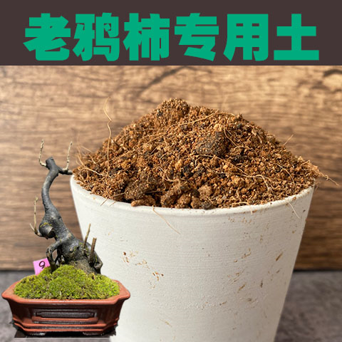 老鸦柿土专用土生桩熟桩盆景营养土酸性沙质透气绿植盆栽种植肥料
