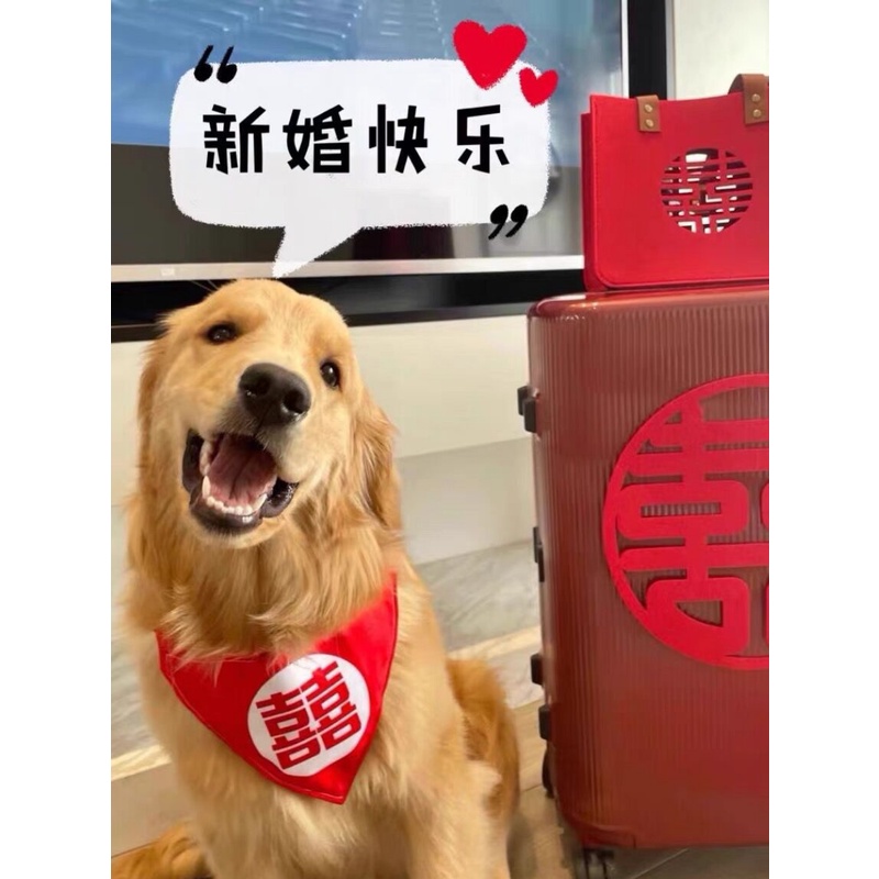 狗狗猫咪口水巾围巾围脖喜庆宠物中大型犬围嘴配饰结婚喜字可调节