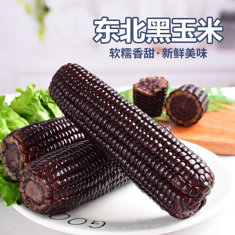筑梦农【10根】250-300克东北黑糯玉米真空包装营养甜糯食用自然
