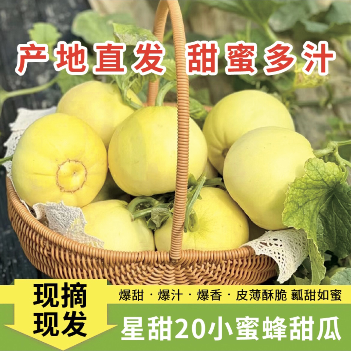 头茬山东小蜜蜂蜜罐甜瓜脆甜如蜜4.5斤 春季甜瓜新鲜酥脆
