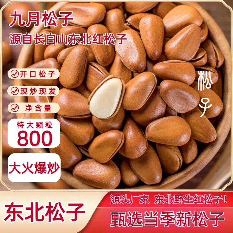 2024东北长白山地产野生红松子800特大颗粒大火爆炒大开口满口香