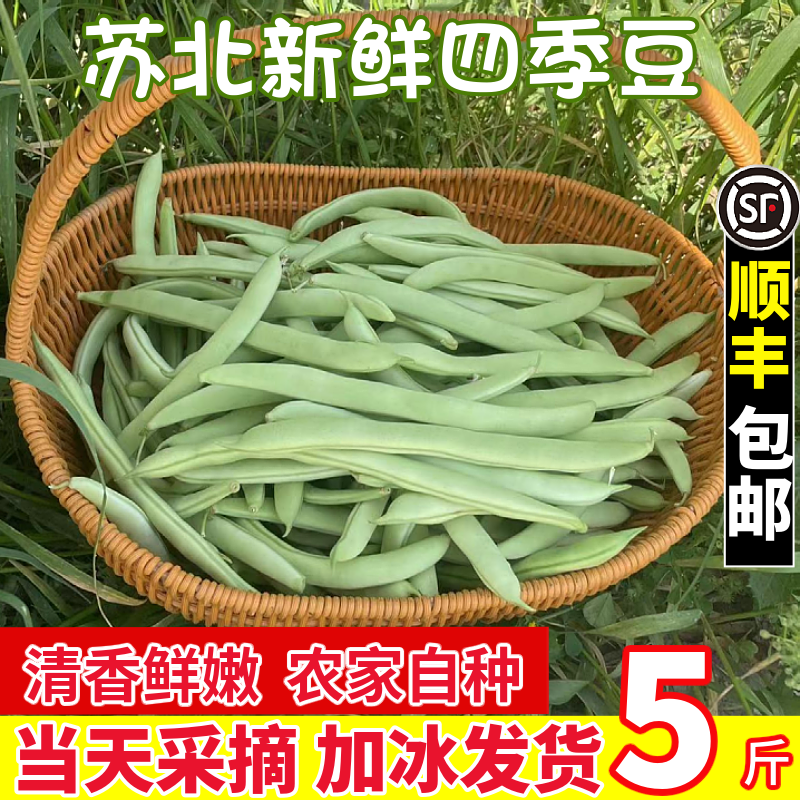 顺丰包邮农家四季豆芸豆刀豆扁豆青豆无筋豆角当天现摘2斤3斤5斤