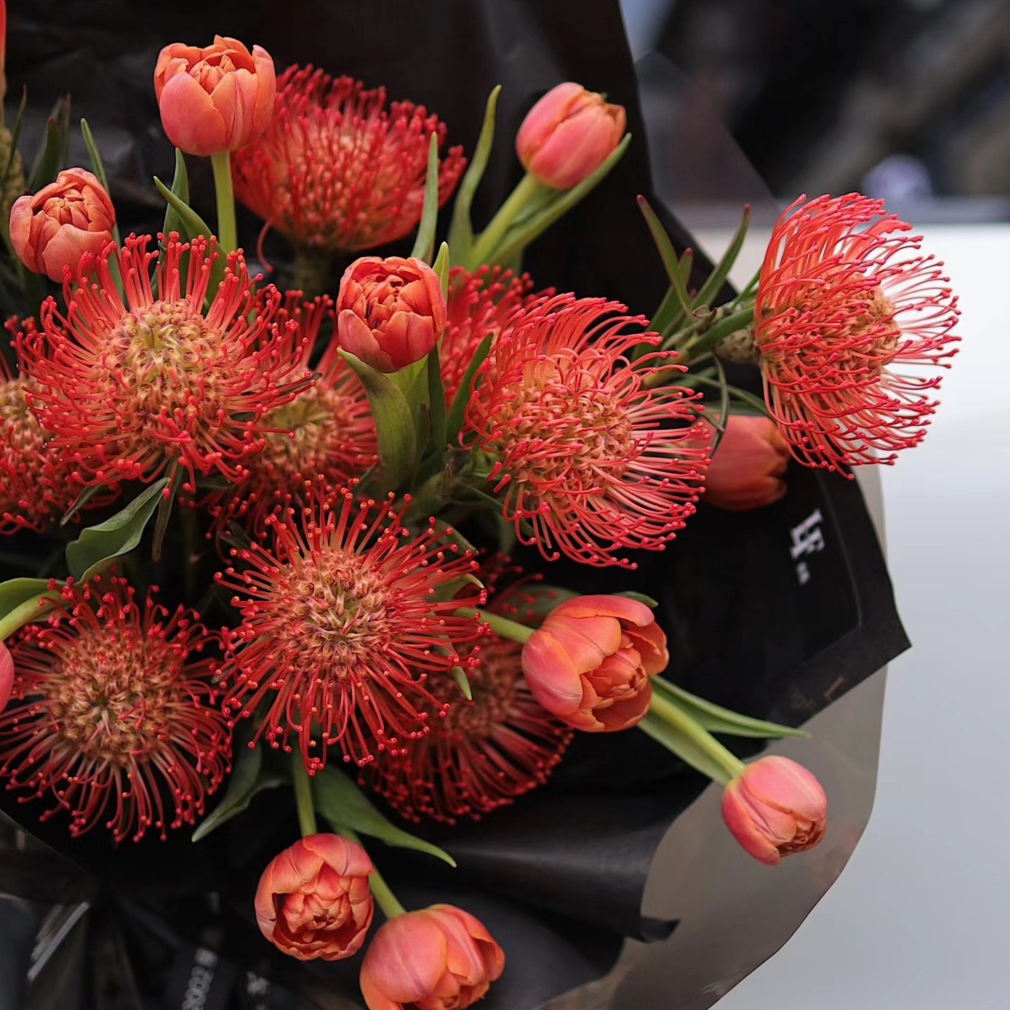 【针垫、海神花】进口高端稀有可做干花（店内任意三单包邮）