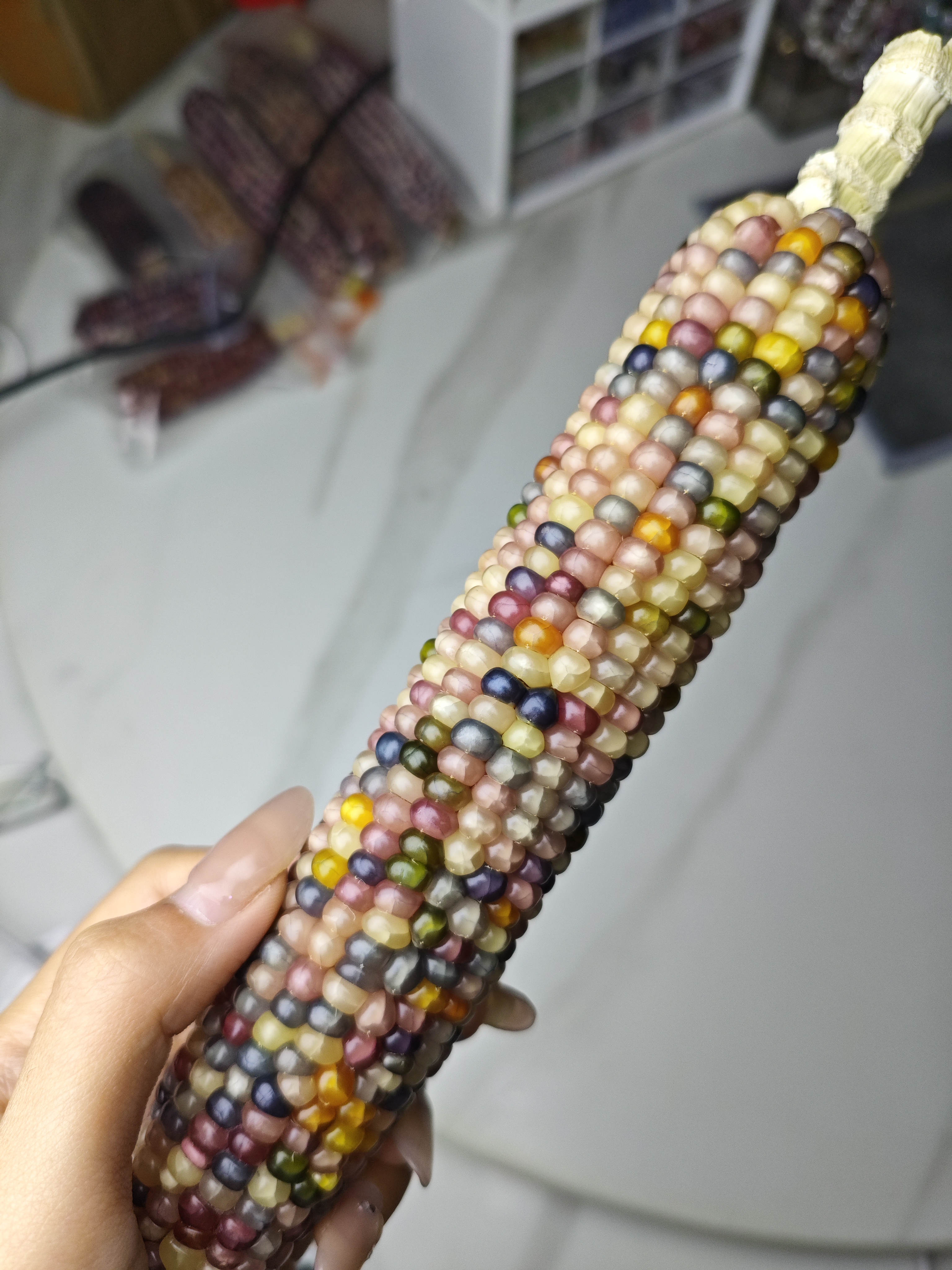 文玩玉米一物一拍no退no换