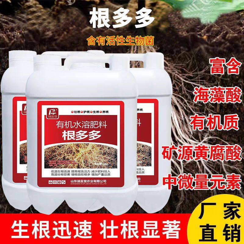 根多多生根壮苗剂低温生根快海藻有机水溶肥料移栽壮根养根吸收好