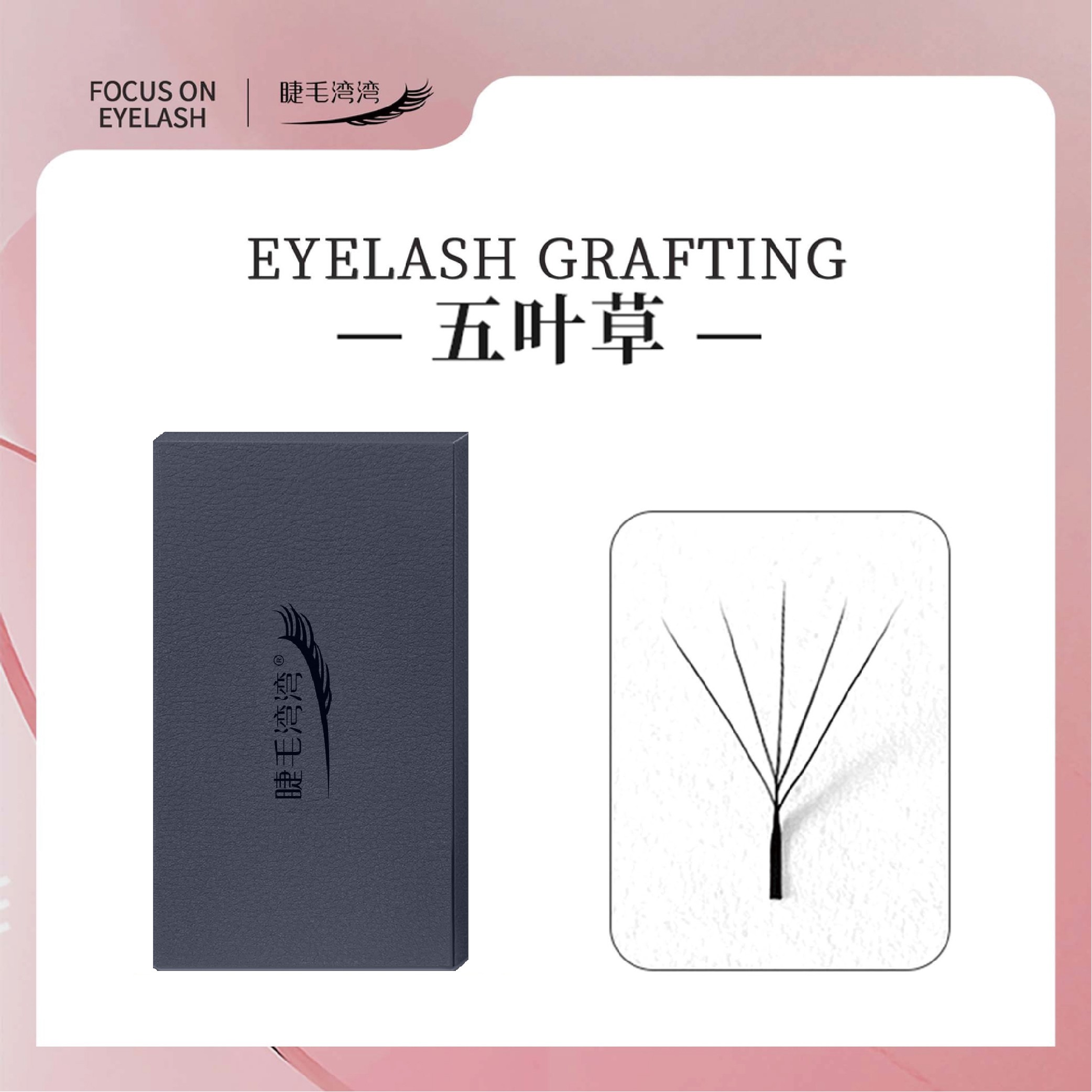 Eyelash bay bay/睫毛湾湾0.05五叶草高成花率无需技术轻松开大花