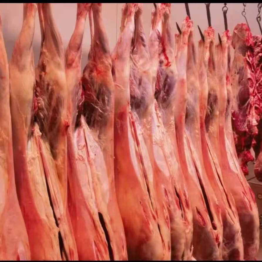 羊肉