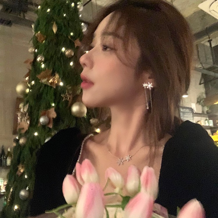 铜合金布艺耳饰 AL3744 长款雪花流苏耳环小众设计感高级精致耳饰