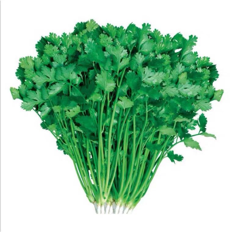 【蔬菜】香菜/份         约40g±5g
