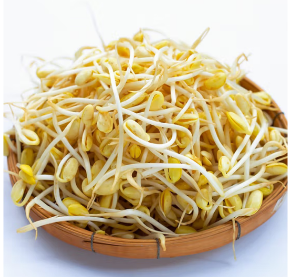 【蔬菜】黄豆芽约300g/份
