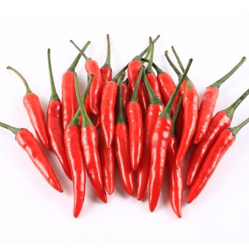 【蔬菜】小米辣/份      约50g±5g