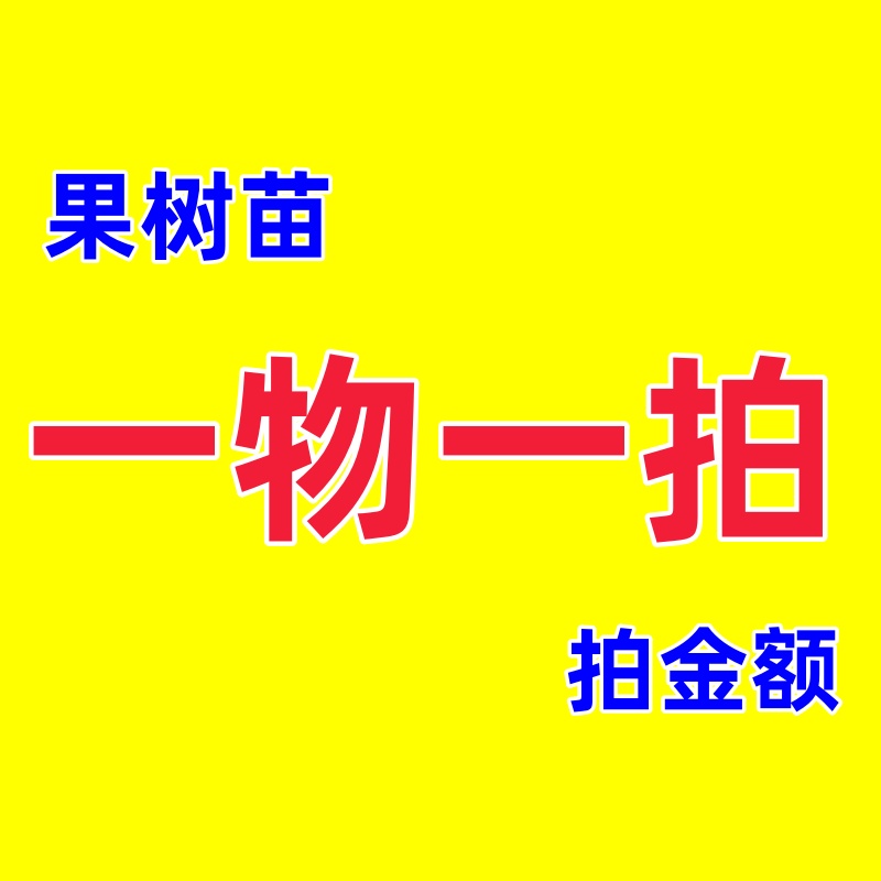 88一物一拍   果树苗 