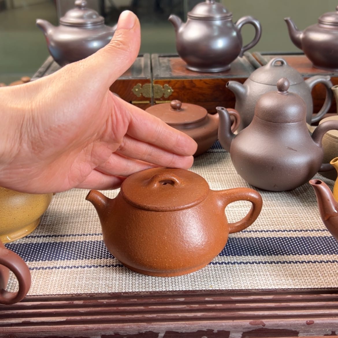 【闪购商品】紫砂茶壶灬**灬