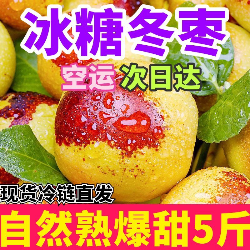 【超大巨无霸】果园现摘山东沾化鲜冬枣新鲜水果枣大枣非大荔脆冬枣