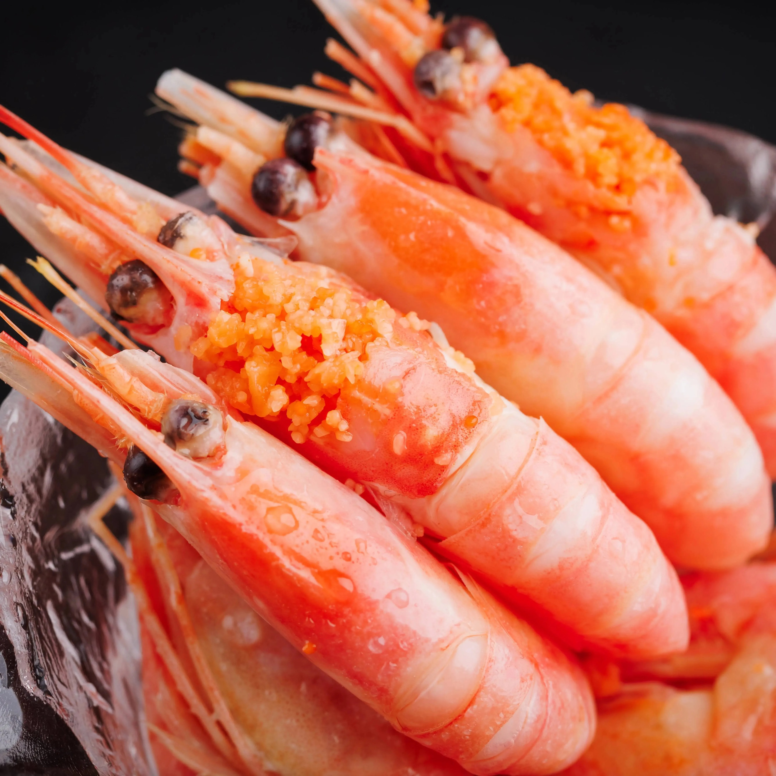 当季头籽北极甜虾元宝虾三斤 配送到家