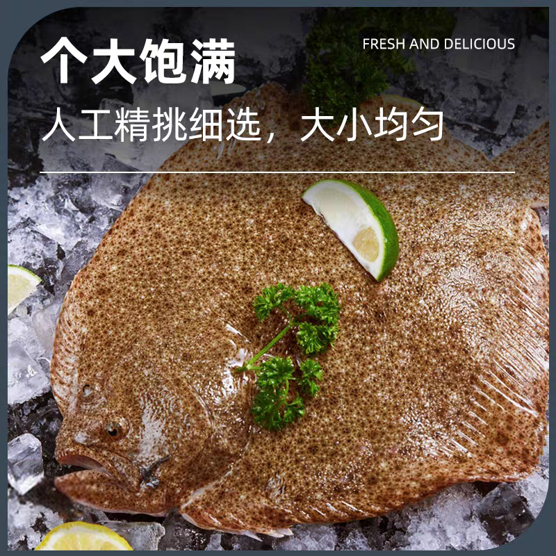 金涛甄选 多宝鱼一条