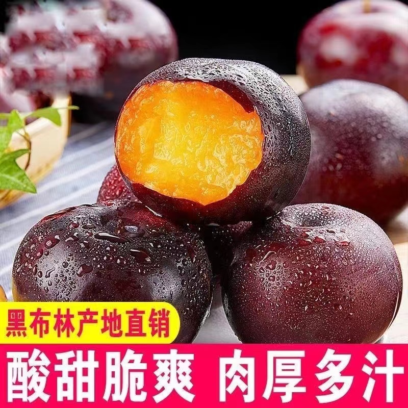 酸甜黑色红布林李子