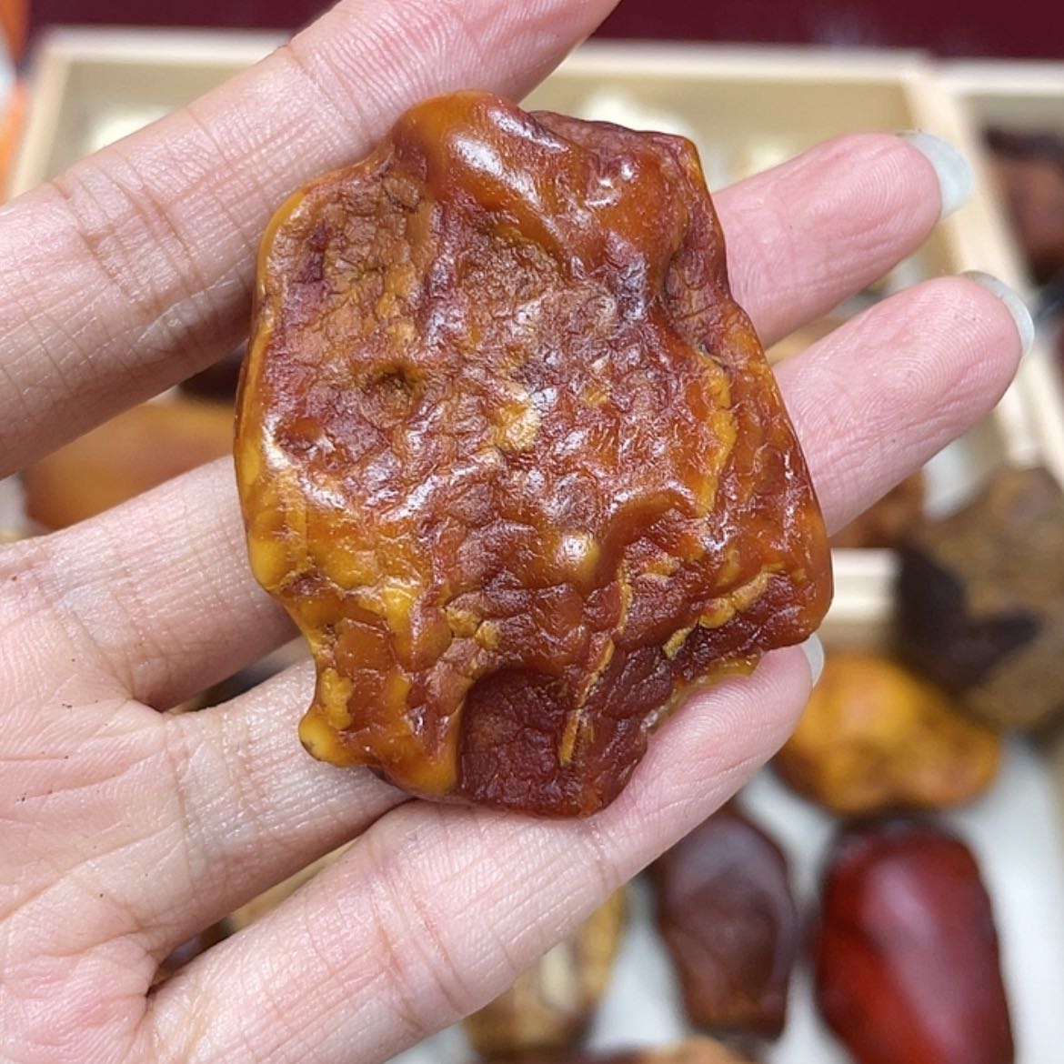 【闪购商品】琥珀珠宝奇石未镶嵌